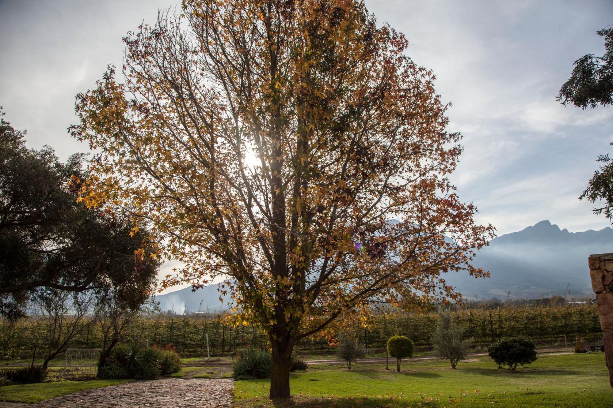 Bergsicht Country Farm Cottages Tulbagh Rom bilde