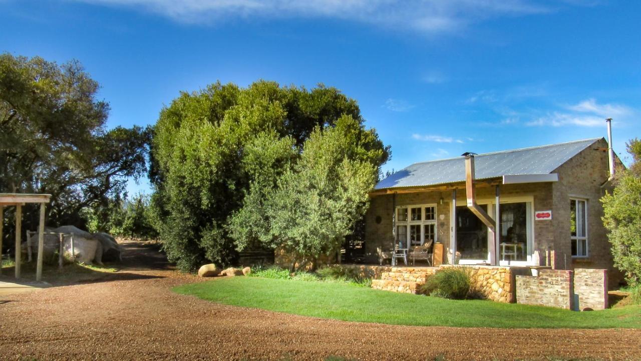 Bergsicht Country Farm Cottages Tulbagh Eksteriør bilde